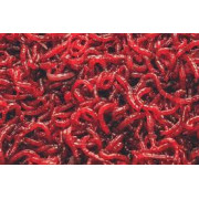 Крупный мотыль 1 кг