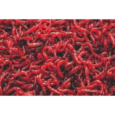 Крупный мотыль 1 кг Крупный мотыль 1 кг